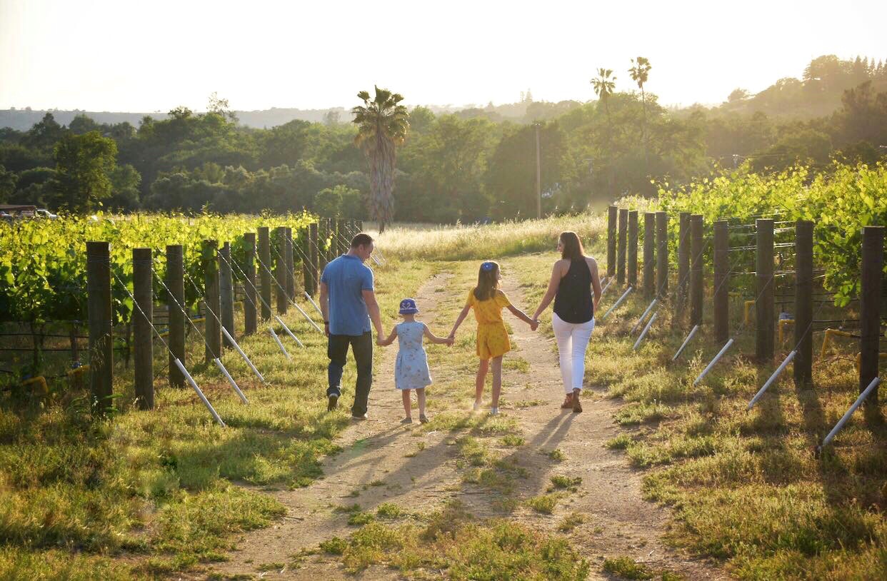 4 people walking away from the camera, grapewines on both side