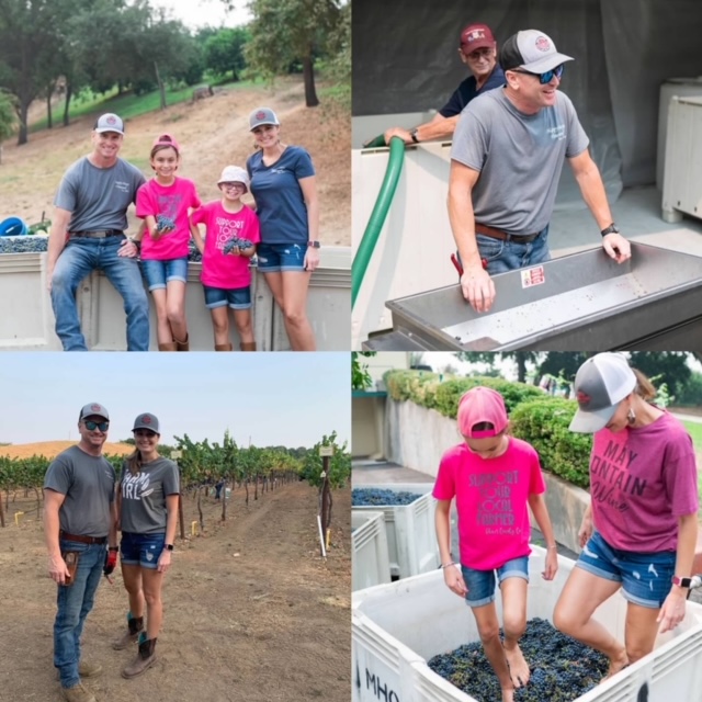 4 photos of people standing by vines, foot stomping grapes, standing by machine e