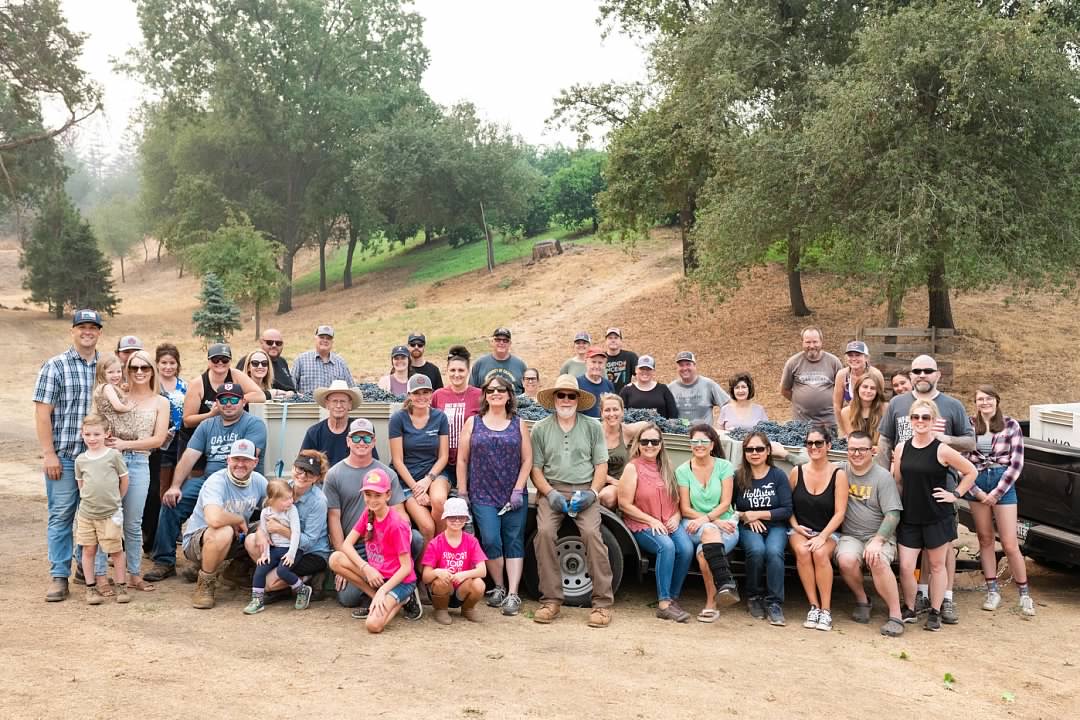 large group of people with bins of grapes 
